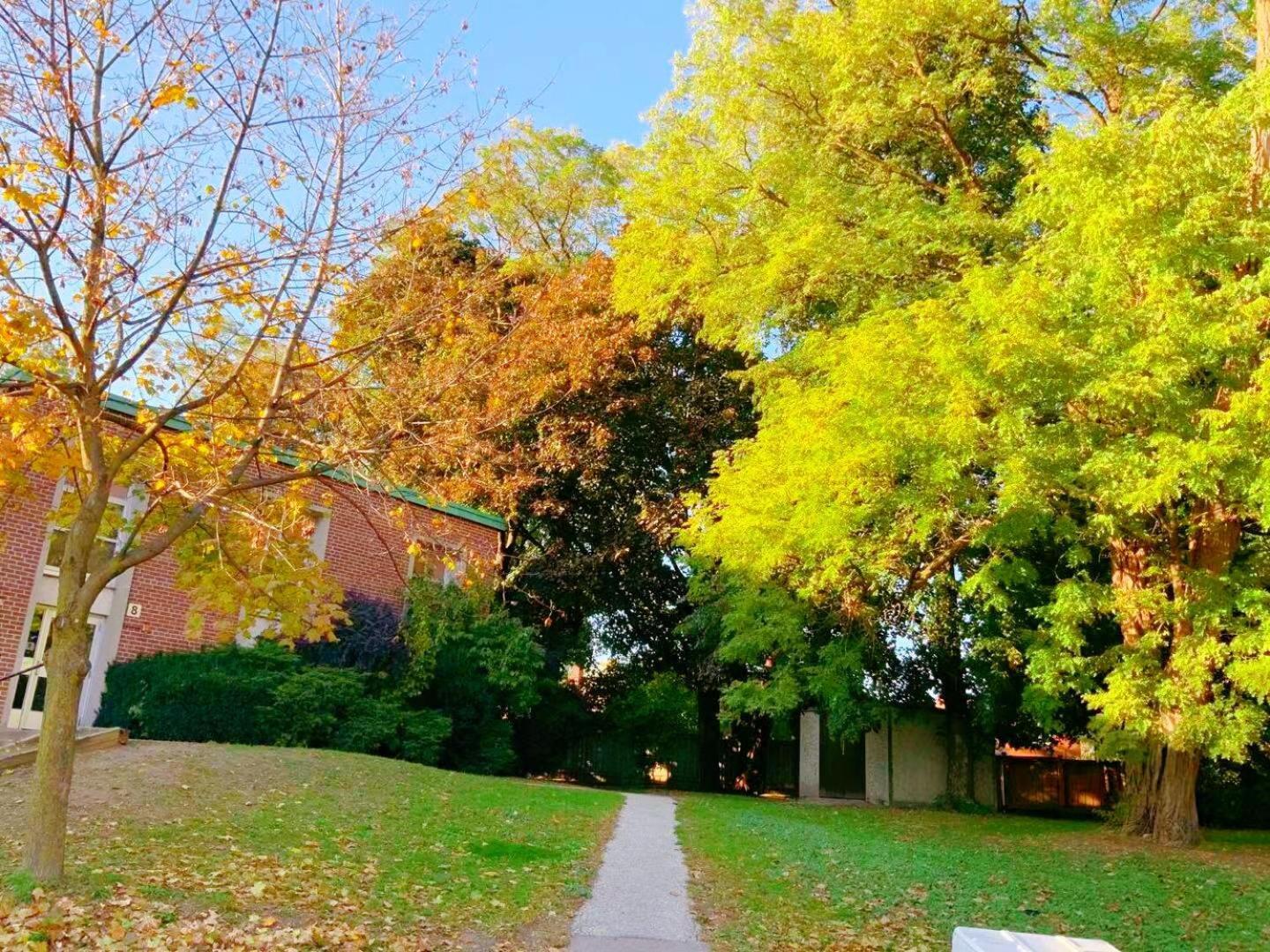 Leaside Garden Guesthouse Toronto Esterno foto